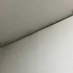 外部に面した壁や天井は結露によるカビが発生